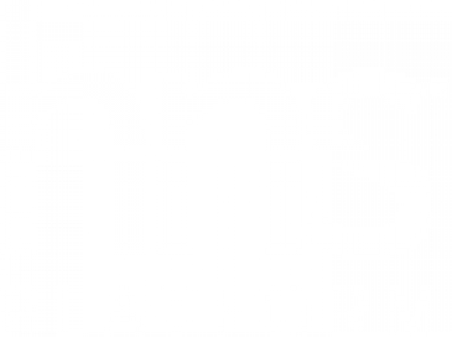 hns pic w v2.png